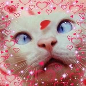 Meet your Posher, Connie